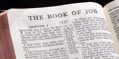 Joyrisers Women's Bible Study