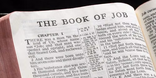 Joyrisers Women's Bible Study