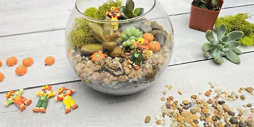 Fall Pumpkin Terrariums