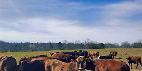 Farm Tour