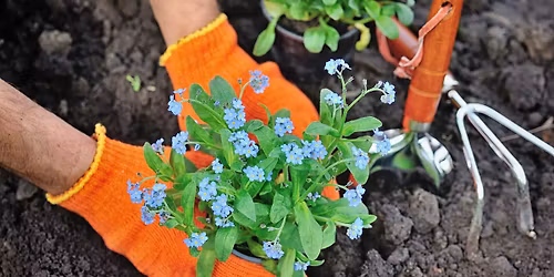 Rain Gardens Workshop