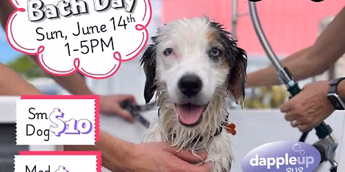 Charity Bath Day at Dog Bar Sarasota