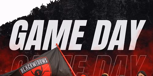 Harlingen Black Widows @ Brownsville Sting