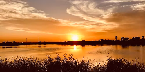 Desaf\u00edo del Rio Bravo. Backyard Nuevo Laredo 2.0