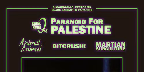 Paranoid For Palestine: Limerick