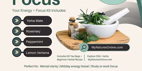 Herbal Workshop Series - Energy + Focus