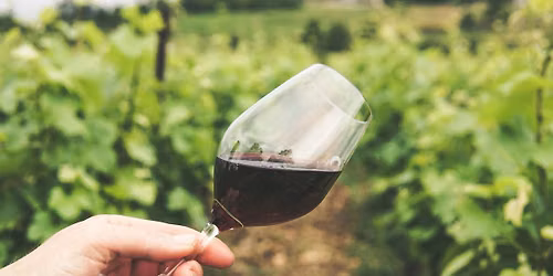 Philbrook Wine Club: The Garden Pour