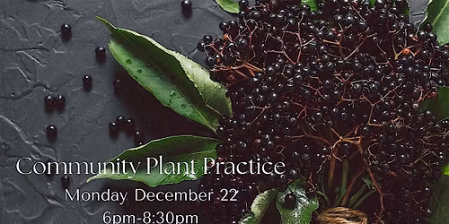 Community Plant Practice: Winter