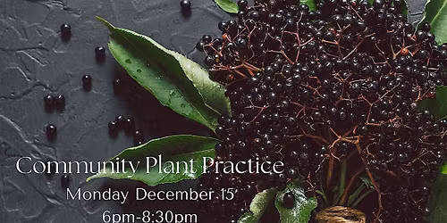 Community Plant Practice: Winter