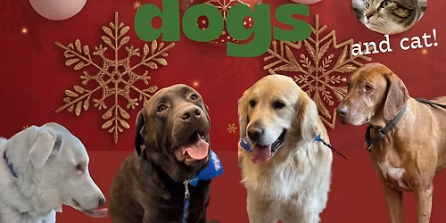 Read to the Dogs... and Cat!