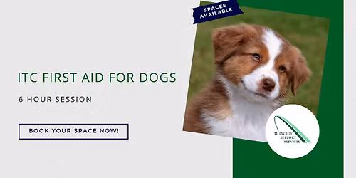 First Aid for Dogs (6 Hours) 