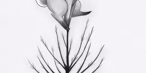 Create Your Own Mythical Creature with Koreena Nagai