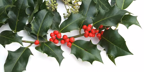 Winter Solstice Walk