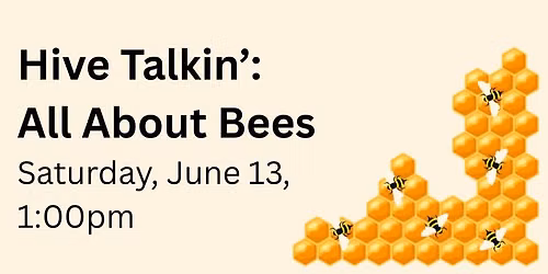 Hive Talkin': All About Bees