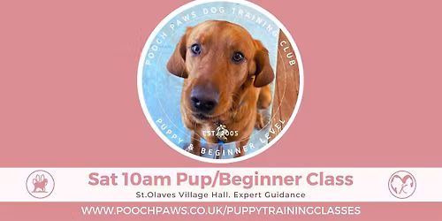FULL Term 8 - 10am Sat Puppy & Beginners Training Class