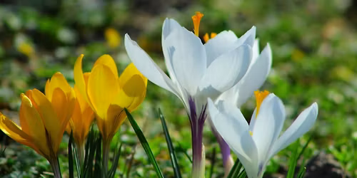 Mindfulness and Compassion for Connecting in a Fractured World Workshop