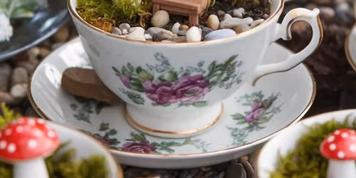 Teacup Fairy Garden - Craft Social Party