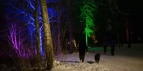 SILTA - Kuivasj\u00e4rven valotapahtuma