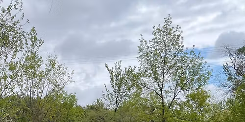 Free QiGong and Tai Chi @ Wilderness Park