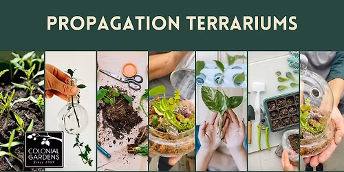 Propagation Terrarium Workshop
