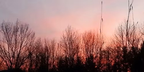 Guided Shinrin-yoku: Rest & Reconnect in Nature