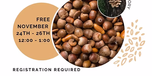 Fall Foraging Foray