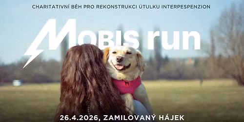 MOBIS CHARITY RUN 2026