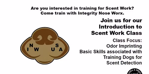 26A SWS - Scent Work Sunday Introduction to Scent Work #2 at AO Working Dogs