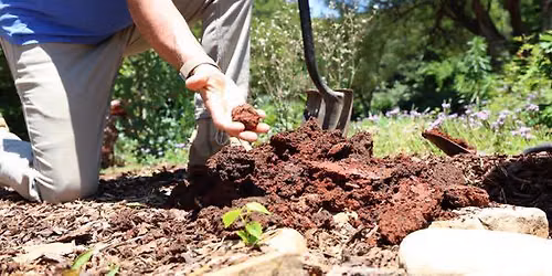 The Dirt on Clay: Secrets to a Healthier Garden Soil