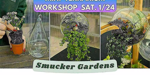 Mini Terrarium Workshop @ Smucker Gardens