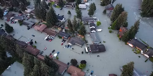 Parking House of Harm (18+)