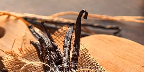 \u201cAll Things Vanilla\u201d a holiday make and take