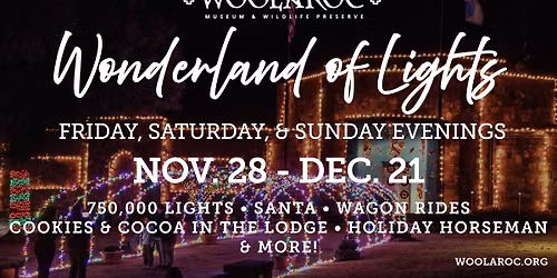 Wonderland of Lights - Weekend Three