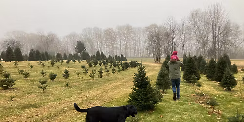 Toys for Tots\/ Food Drive