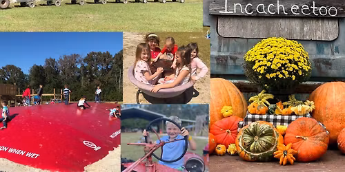 Fall Family Fun on the Farm at Incacheetoo!!! 🐮🐪🐷🌾🌻
