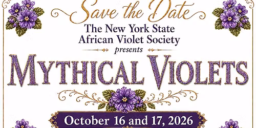 New York State African Violet Society Show and Convention