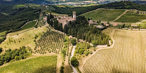 Antinori Wine Dinner at Bob's Steak & Chop House