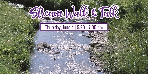 Stream Walk & Talk