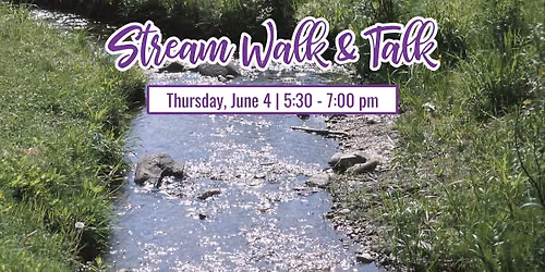 Stream Walk & Talk
