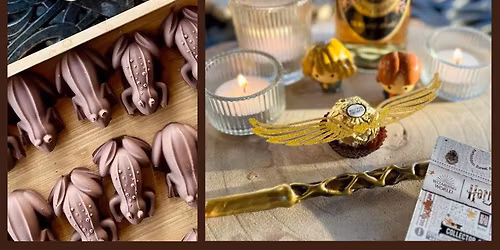 Starlight Movie Night feat. "Harry Potter and the Sorcerer\u2019s Stone"