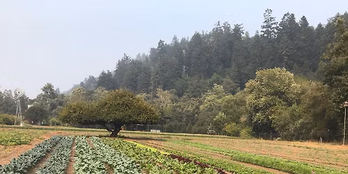 Outstanding in the Field farm to  table dinner Sunday June 14\u2019th 2026 