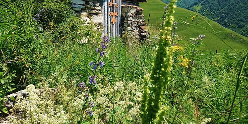 \u10d2\u10e3\u10d3\u10d0\u10db\u10d0\u10e7\u10d0\u10e0\u10d8, \u10da\u10e3\u10d7\u10ee\u10e3\u10d1\u10d8\u10e1 \u10ee\u10d4\u10dd\u10d1\u10d0