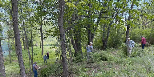 Third Saturday Stewardship Day - April