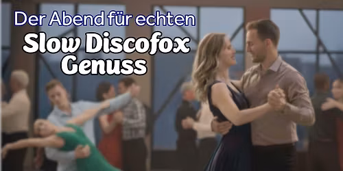 Slow DiscoFox meets Frankfurt