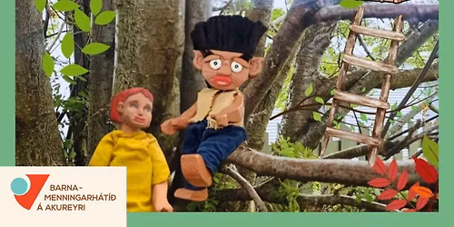 Fj\u00e1rsj\u00f3\u00f0s \u00c6vint\u00fdri