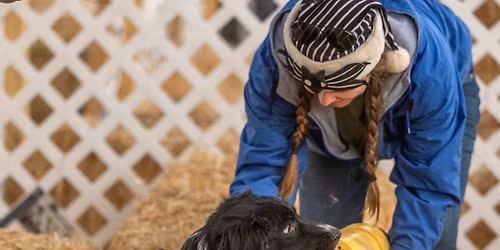 Smarty Paws Rat Pack New Year Barn Hunt Trial