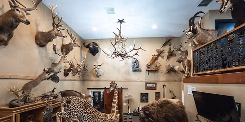 Outdoor Extravaganza in Dallas, Texas