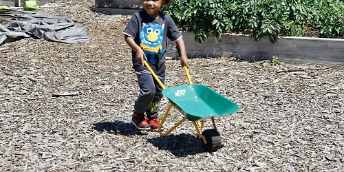 Play Date at the Farm