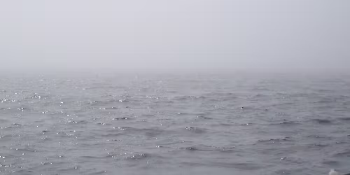 Nerite, Vesihiisi, Muovi Makkonen @ Lepakkomies 14.1.26