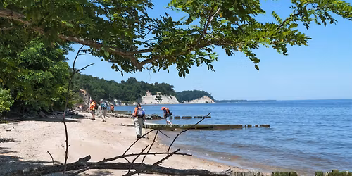 Parking Beach Fossils (17+)